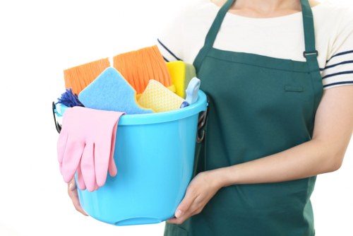 Cleaner in Harringay providing home cleaning service