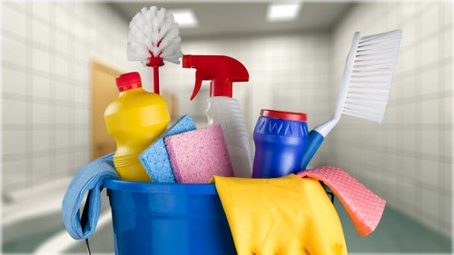 Carpet cleaning company introduction in Harringay