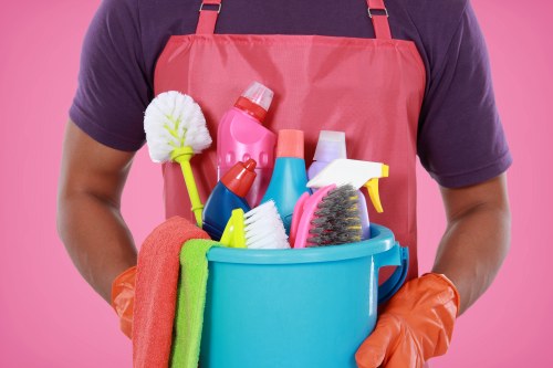 Carpet cleaning quote discussion for a Harringay home