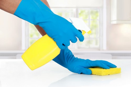 Professional carpet cleaning in Harringay removing dirt from a living room carpet