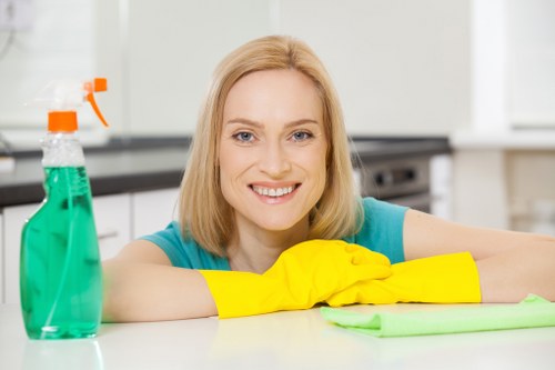 Upholstery stain removal service in Harringay