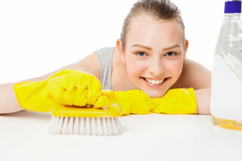 Professional home cleaning service in a Harringay living room