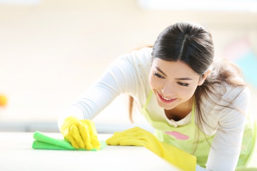 Domestic cleaner tidying a Harringay kitchen and surfaces