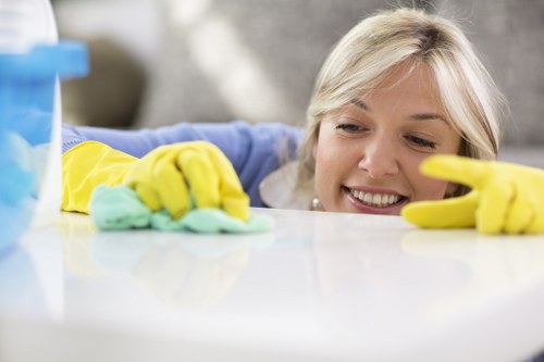 Deep carpet cleaning equipment in Harringay home interior
