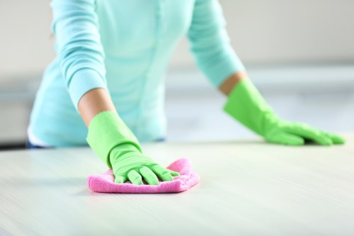 Liability and customer protection section in cleaning terms