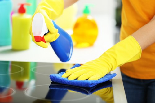 Local cleaning team in Harringay providing domestic and office cleaning