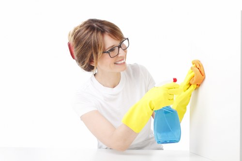 Deep post-construction cleaning in a Harringay property interior