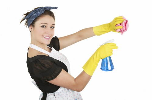Booking and service responsibilities section for carpet cleaning