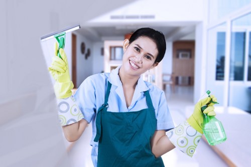 Expert sofa cleaning process for a living room couch