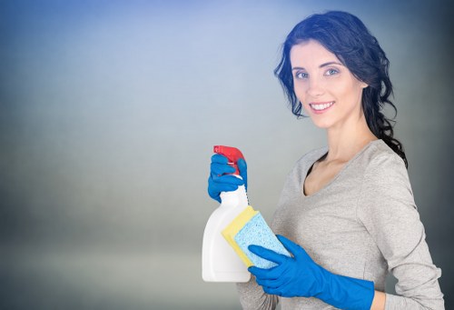 Specialist cleaning tools used for oven cleaner services in Harringay